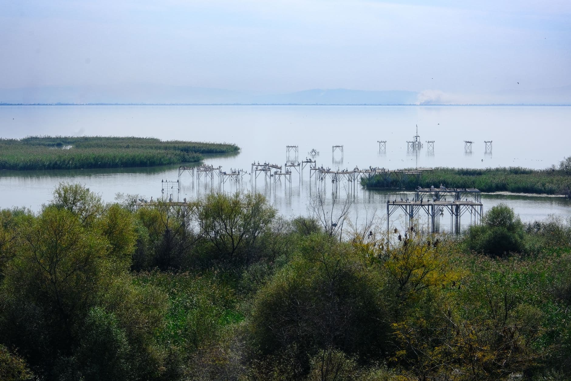 Kuş Cenneti Bird Sanctuary and Lake Manyas, Turkey — A tranquil wetland paradise where pelicans, cormorants and migrating birds gather beneath a historic bird pavilion