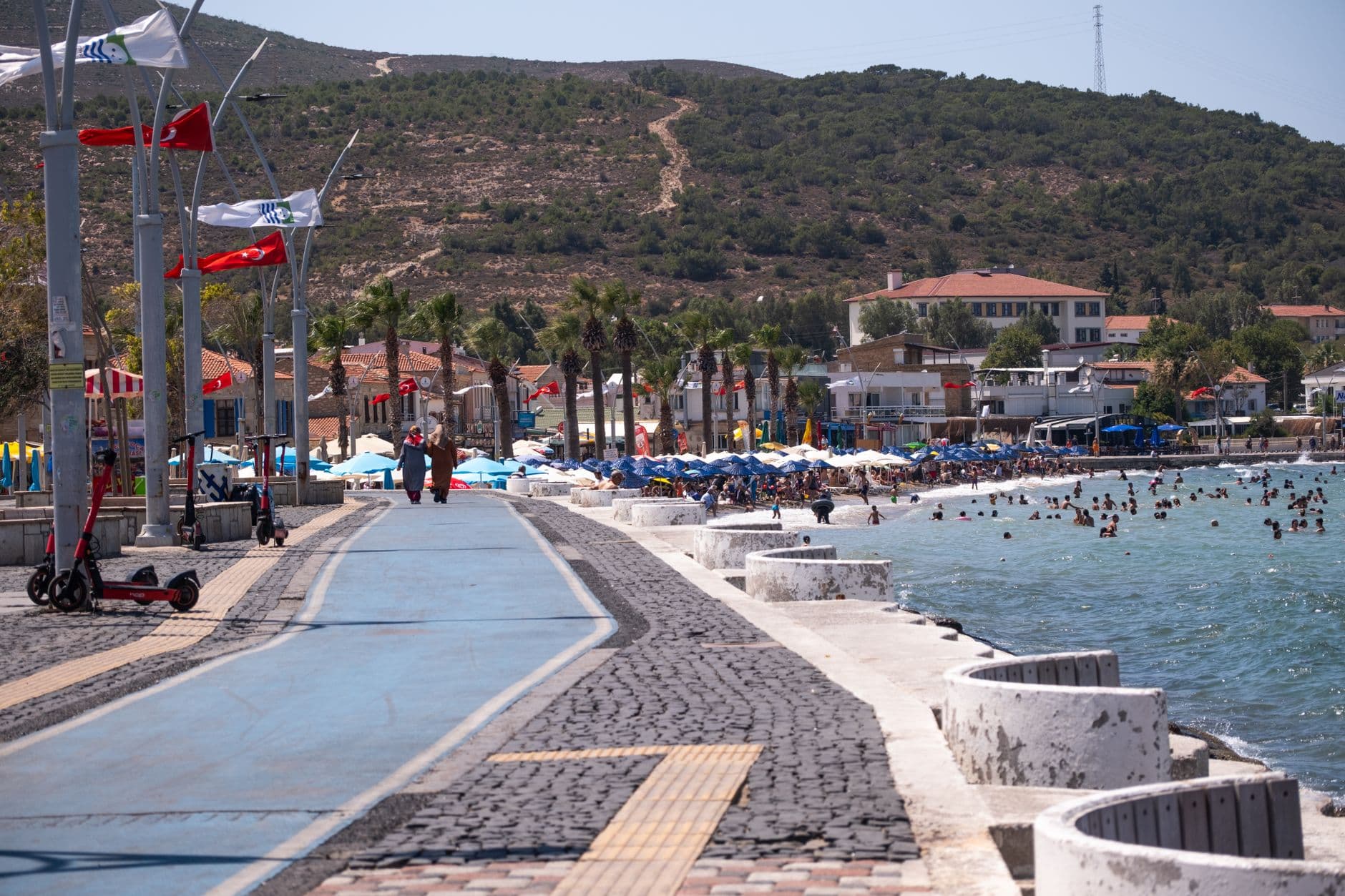 Türkiye's Dog-Friendly Inns and Coastal Walks: A Traveler's Guide to Bringing Your Pet