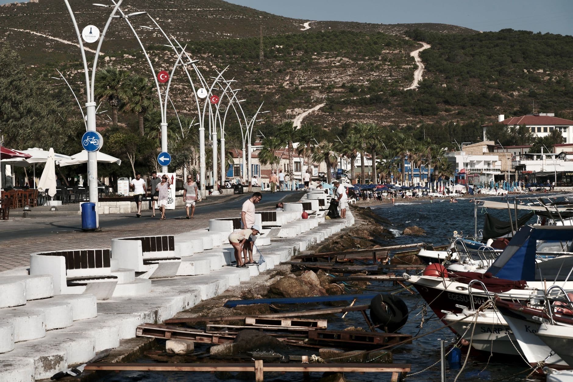 Türkiye's Wild Edible Foraging Walks with Local Hosts: Greens, Herbs and Hill Country Flavors