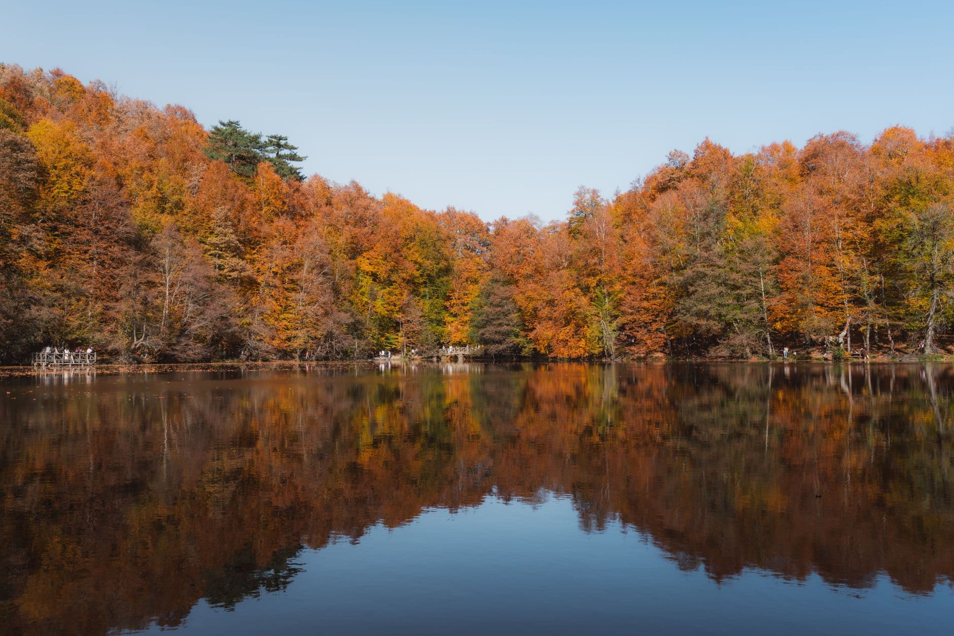 Yedigöller Forest Lodges and Autumn Walks, Turkey — Misty beech woods, mirror lakes and woodpecker calls — the calm heart of Türkiye's Black Sea forests